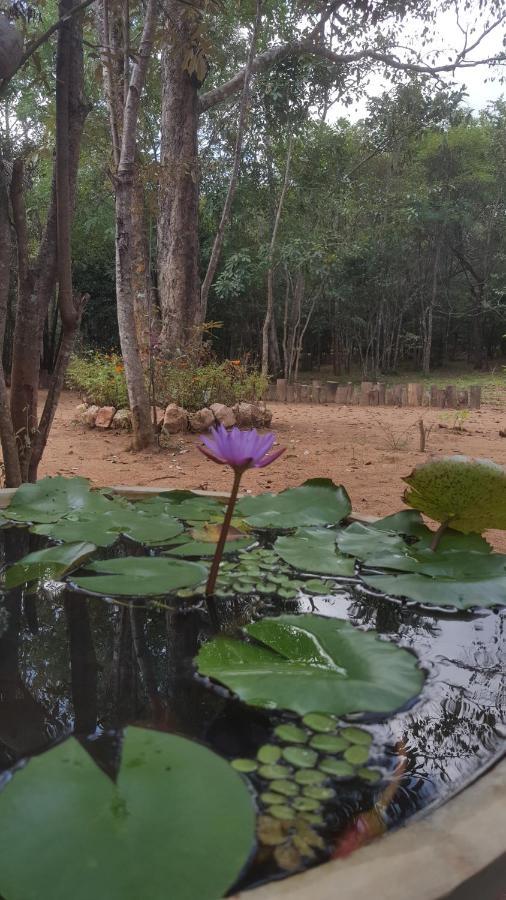Sky Forest Habarana Bagian luar foto
