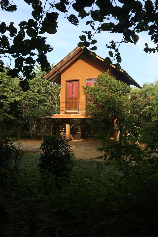 Sky Forest Habarana Bagian luar foto