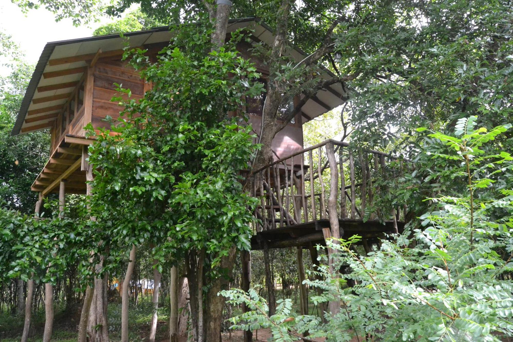 Sky Forest Habarana Bagian luar foto