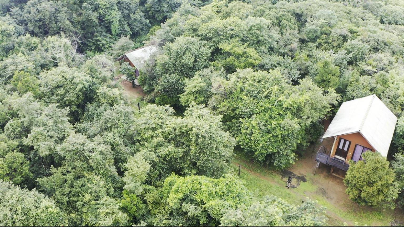 Sky Forest Habarana Bagian luar foto
