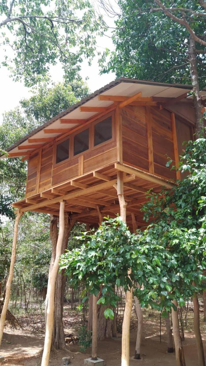 Sky Forest Habarana Bagian luar foto