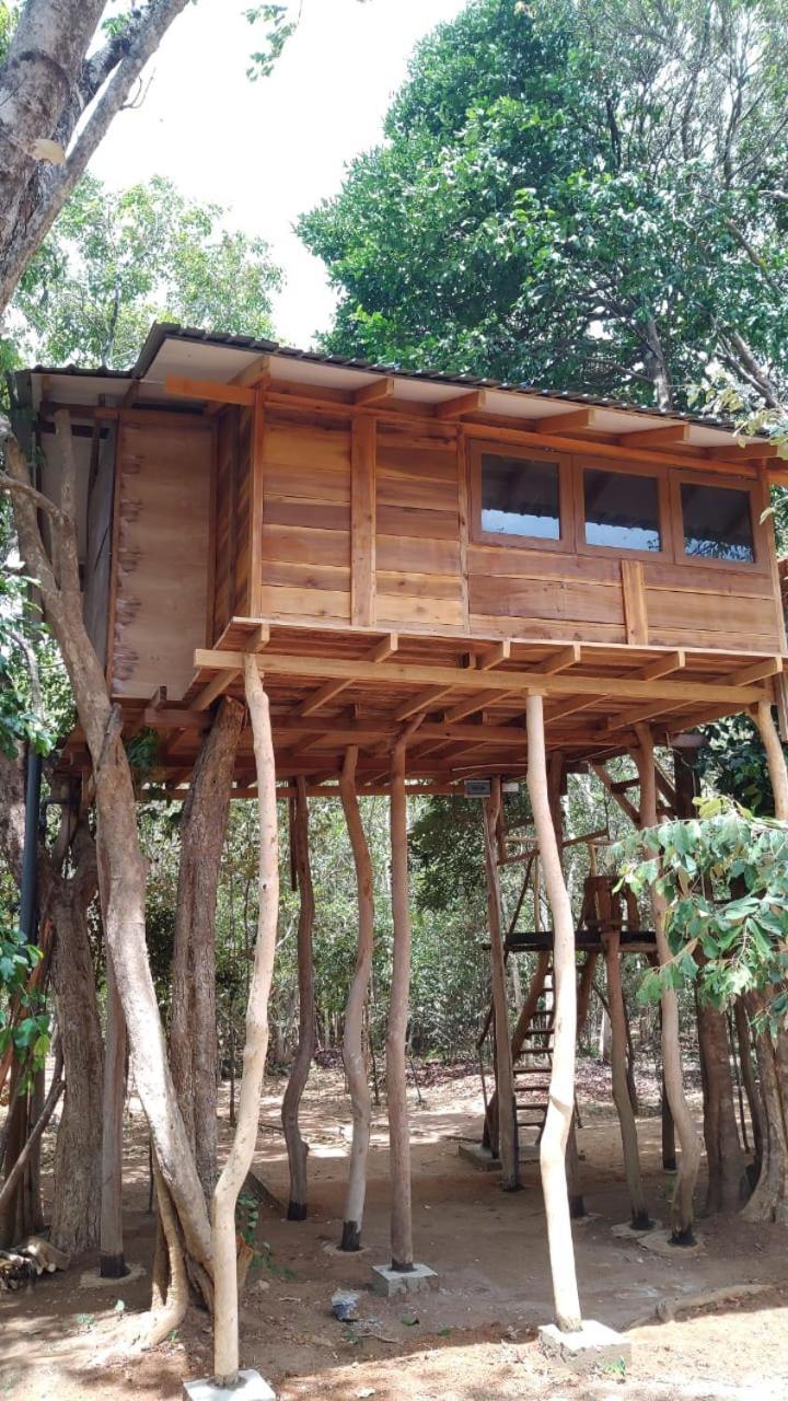 Sky Forest Habarana Bagian luar foto