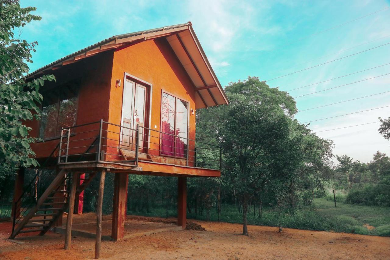Sky Forest Habarana Bagian luar foto