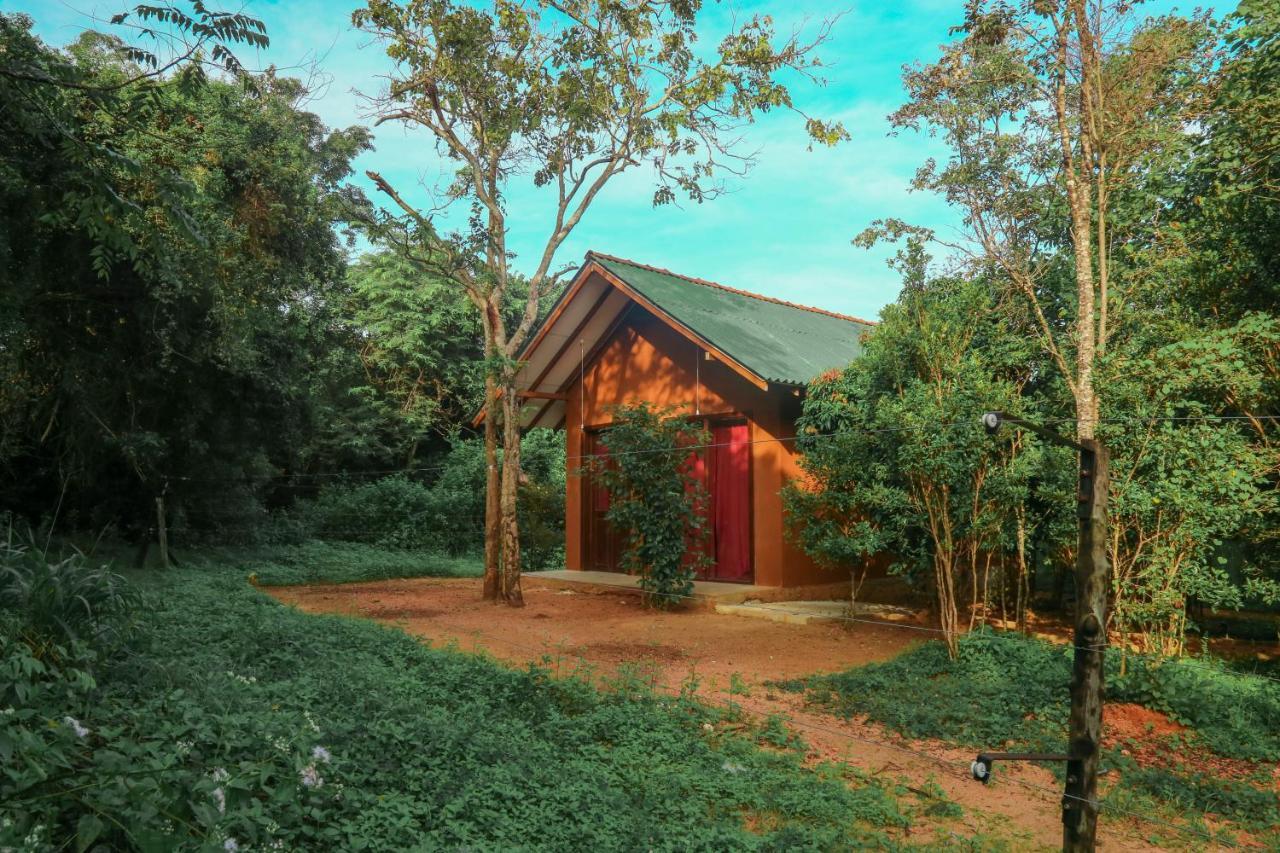 Sky Forest Habarana Bagian luar foto